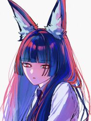 hoshimi miyabi from zenless zone zero
