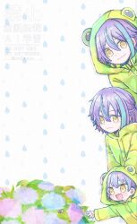 kamishiro rui from project sekai