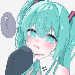 hatsune miku from vocaloid