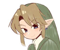 link from the legend of zelda by sofo soup