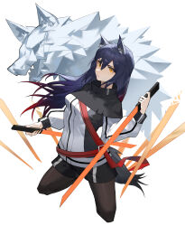texas (arknights) from arknights