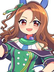 king halo (umamusume) from umamusume by sumikawa (sumikawa8v)