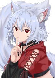 inubashiri momiji from touhou