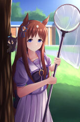 grass wonder (umamusume) from umamusume