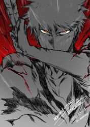 kurosaki ichigo from bleach