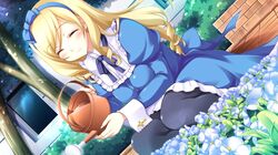 sakura windsor from hyper highspeed genius by yukiwo