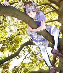 gold ship (umamusume) from umamusume