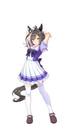umamusume fan art
