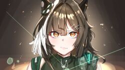 umamusume fan art