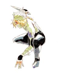 sheik from the legend of zelda