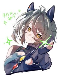 umamusume fan art