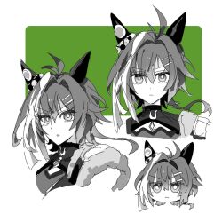 umamusume fan art