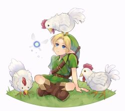 link from the legend of zelda