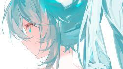 hatsune miku from vocaloid
