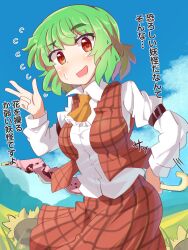 kazami yuuka from touhou