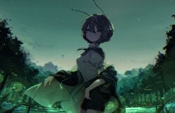 wriggle nightbug from touhou
