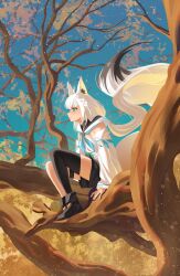 shirakami fubuki from hololive