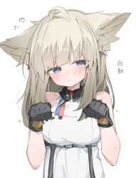 perlica (arknights) from arknights
