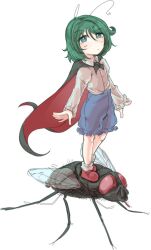 wriggle nightbug from touhou
