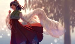 hieda no akyuu from touhou by nanaironokabi