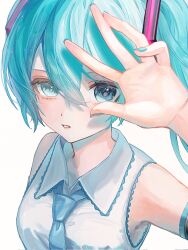 hatsune miku from vocaloid