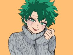 midoriya izuku from boku no hero academia