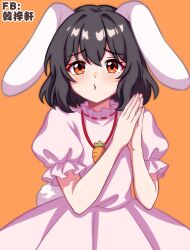 inaba tewi from touhou