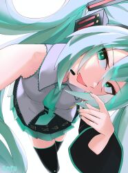 hatsune miku from vocaloid