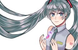 hatsune miku from vocaloid