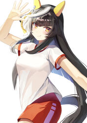 calstone light o (umamusume) from umamusume by yoru usagi