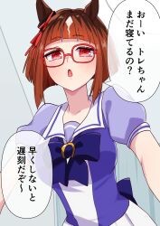 transcend (umamusume) from umamusume
