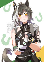 umamusume fan art