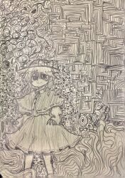 usami renko from touhou