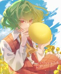 kazami yuuka from touhou by yoshino (q sci)