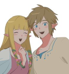 link from the legend of zelda