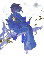 saigyouji yuyuko from touhou