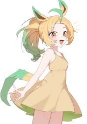 leafeon from pokemon