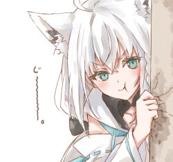 shirakami fubuki from hololive