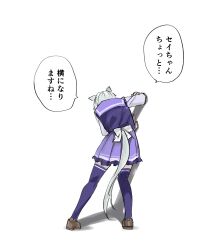 seiun sky (umamusume) from umamusume