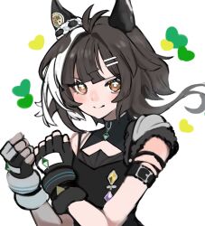 umamusume fan art