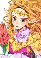 princess zelda from the legend of zelda