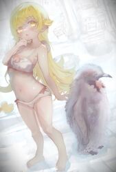 oshino shinobu from monogatari (series)