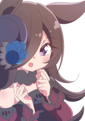 rice shower (umamusume) from umamusume