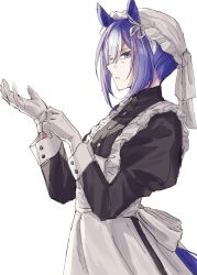 cesario (umamusume) from umamusume