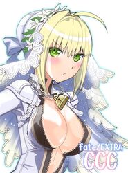 saber bride from fate/extra by robina