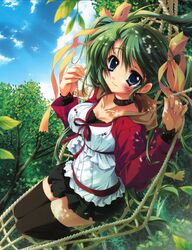 melon-chan from melonbooks by izumi tsubasu