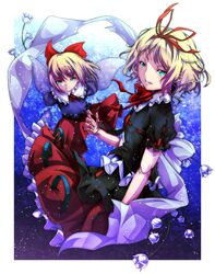 medicine melancholy from touhou by mizuki (ekakichan)