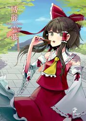 hakurei reimu from touhou by tai0201