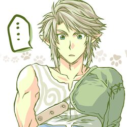 link from nintendo by kosato