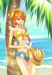 nami from one piece by himerinco